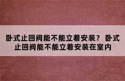 卧式止回阀能不能立着安装？ 卧式止回阀能不能立着安装在室内